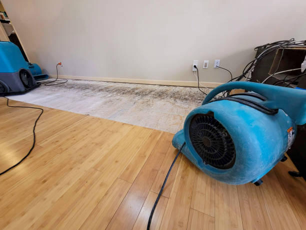 Professional Water Damage Repair technician working in Arnold, MD